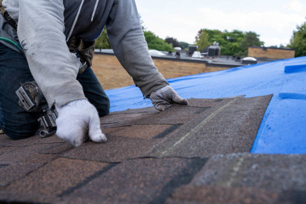 Best Metal Roofing Contractor  in Spring Arbor, MI