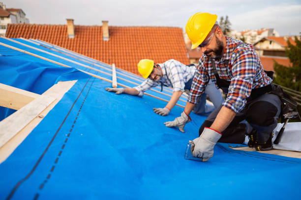 Best New Roof Installation  in Spring Arbor, MI