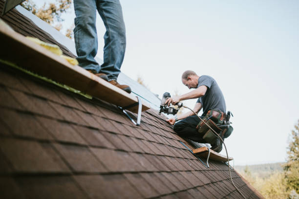 Best Local Roofing Companies  in Spring Arbor, MI
